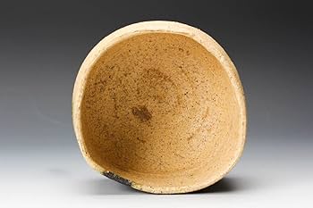 Amazon.co.jp: 鈴木五郎 秀逸作 黄瀬戸茶碗 共箱 栞 茶道具 本物